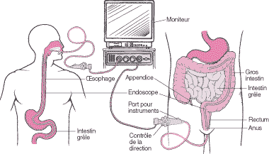 Hépato-gastro-entérologie et endoscopies digestives - Centre ...